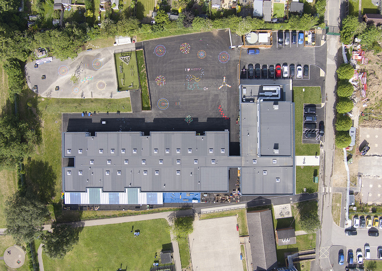 Lungfish Ravensdale Infant and Nursery School